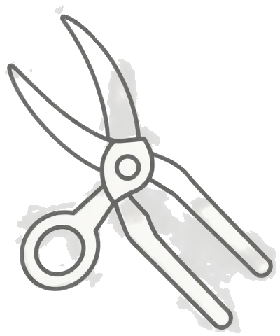 Scissors